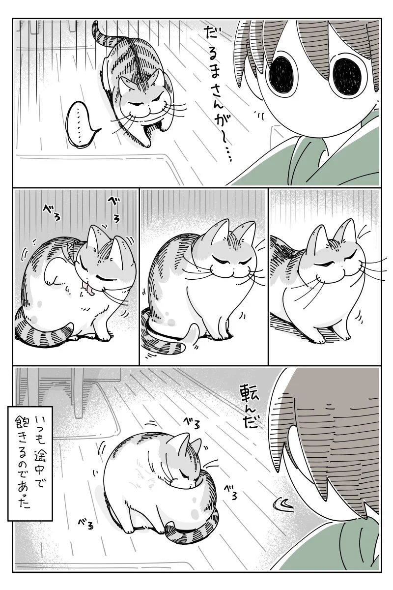こんな自由なところも可愛すぎる！始まりも終わりも唐突な、猫との「だるまさんが転んだ」