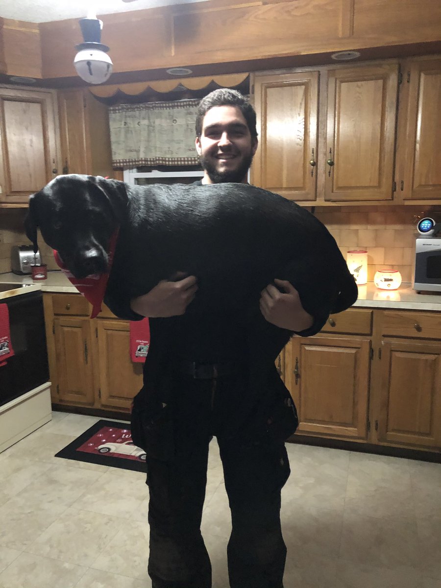 DylanPanaggio's tweet photo. Bears not so little anymore https://t.co/8E5GCN46CV