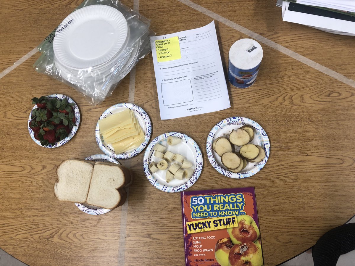 _s_callan's tweet photo. So you smell something?! That’s our mold!! Students learned about living bacteria and set up their own terrariums to observe over the next two week 🦠 @BGreenSchool  @emeadowschools https://t.co/FOBLEqvzrL
