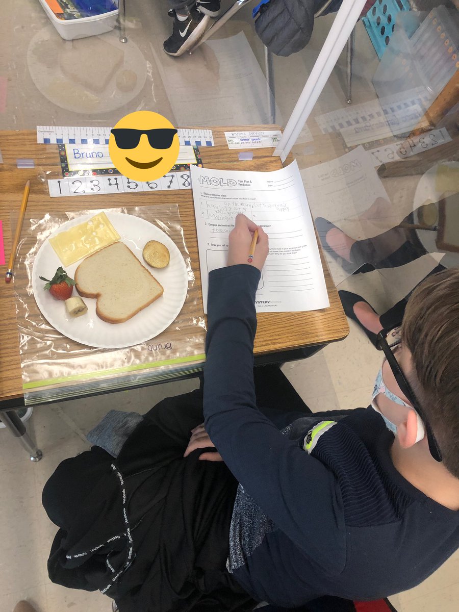 _s_callan's tweet photo. So you smell something?! That’s our mold!! Students learned about living bacteria and set up their own terrariums to observe over the next two week 🦠 @BGreenSchool  @emeadowschools https://t.co/FOBLEqvzrL