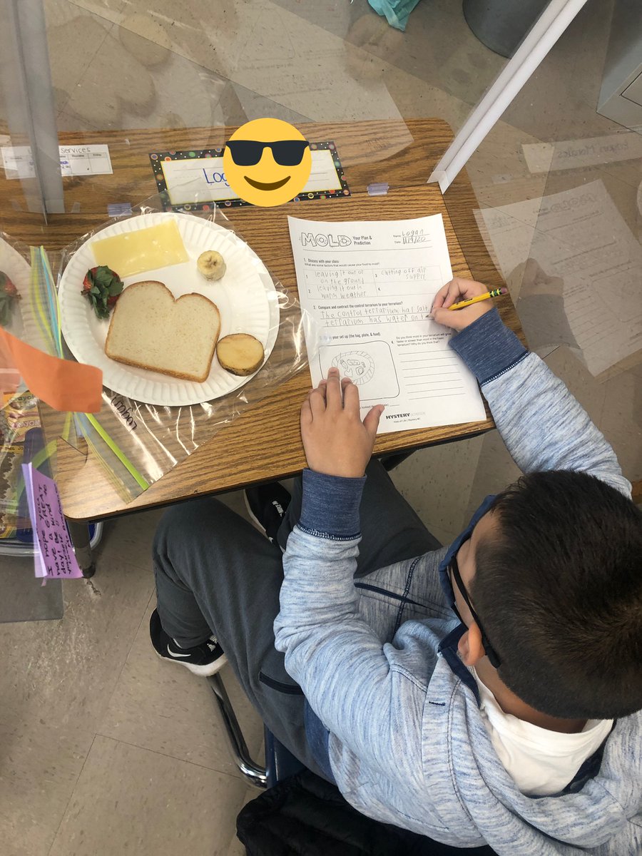 _s_callan's tweet photo. So you smell something?! That’s our mold!! Students learned about living bacteria and set up their own terrariums to observe over the next two week 🦠 @BGreenSchool  @emeadowschools https://t.co/FOBLEqvzrL