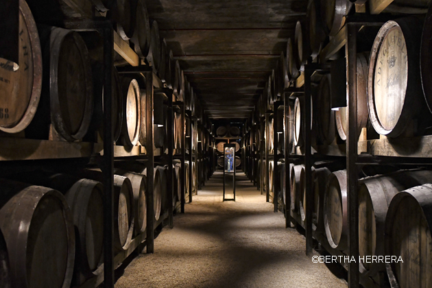 ConApetito's tweet photo. #Enterate ¿cuál es el Vinho Verde más vendido de Portugal?. Vinos que gustan en muchos lugares del mundo por sus sabores afrutados, frescos.
https://t.co/nOvpRCIpat
@Aveleda @vinhoverde
#vinhoverdewines #VinhoVerdeWineLover #vinosportugueses https://t.co/Nc72Jp3ngM