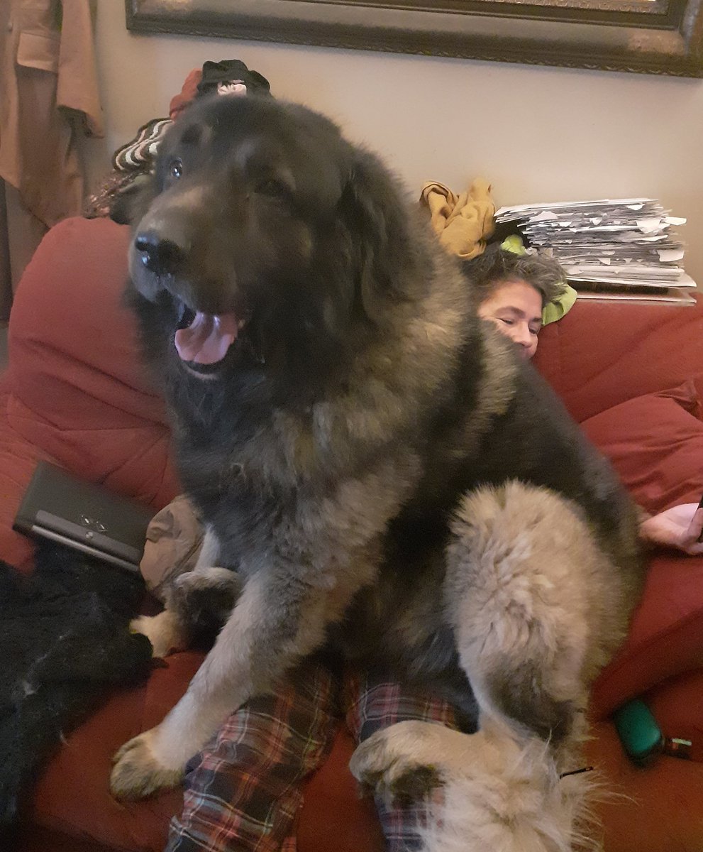 The Gnurb tweet media