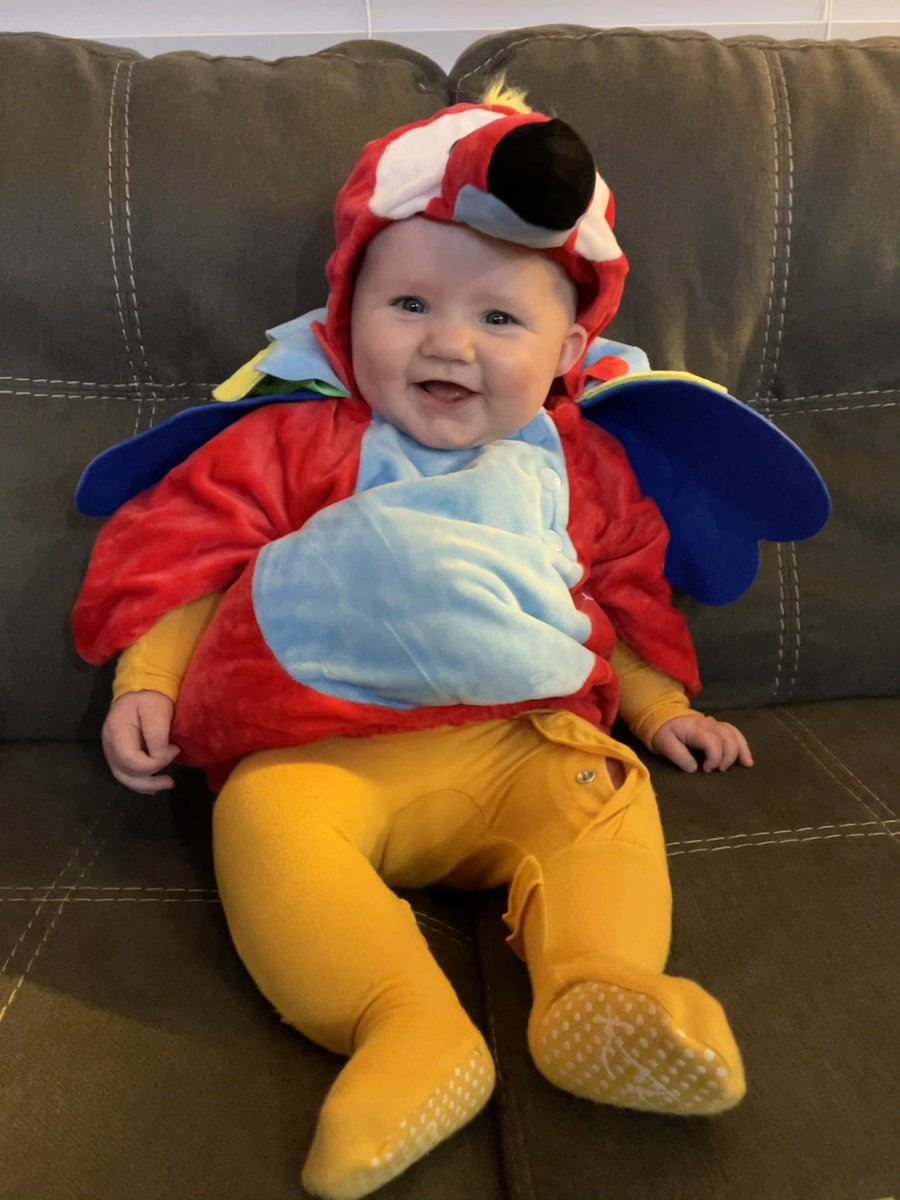 allison_jope's tweet photo. Here for your monthly Rosie update https://t.co/bLPAdE9xW1