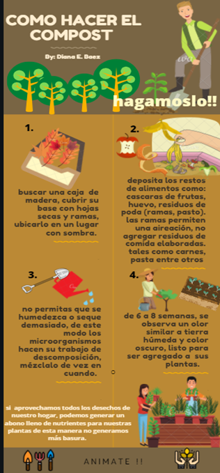 diana baez tweet media