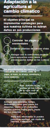 yeraldin rivera tweet media