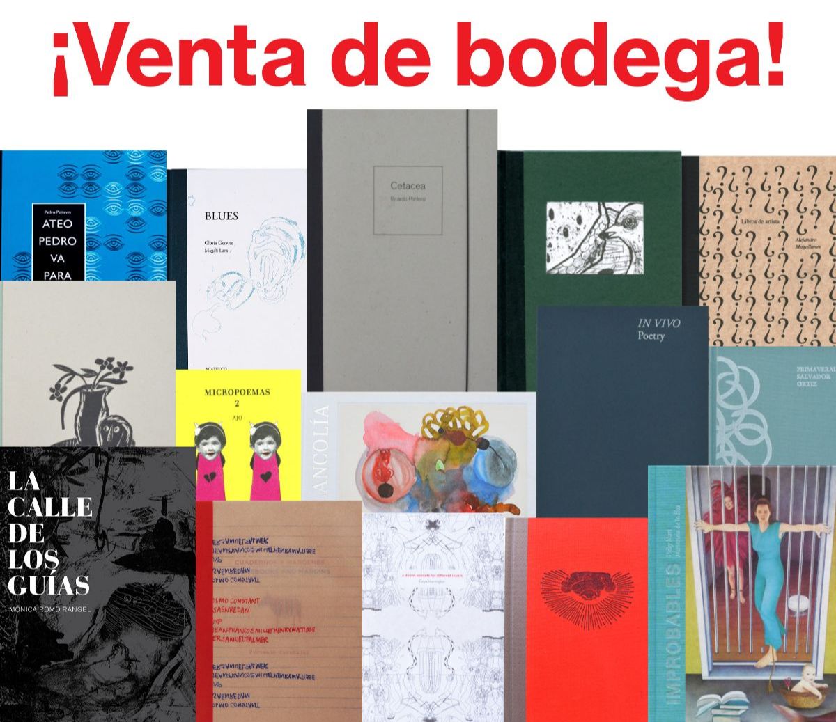 LibrosyAcapulco's tweet photo. ¡BUEN FIN CON LIBROS! - https://t.co/RJXBuPDv4S https://t.co/GuxhejUhJ6