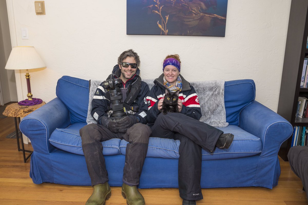 sk_friesen's tweet photo. After lots of research, we have an ID on the local #wildlife! Following the lead of @sebcoulthard and @Woman_Scientist, we are having some fun with the #polarguide life at home since we canโt go to #Antarctica this year
#donttouchthewildlife #touchallthecats @polarlatitudes #PTGA https://t.co/6trM3MK9Hf