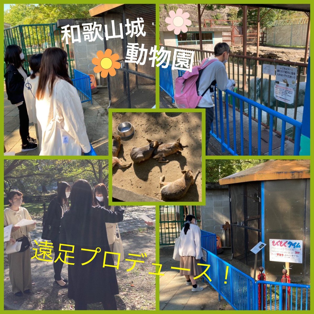 大原情報医療保育専門学校和歌山校 O Joho Wakayama Twitter 大原情報医療保育専門学校和歌山校 O Joho Wakayama Twitter