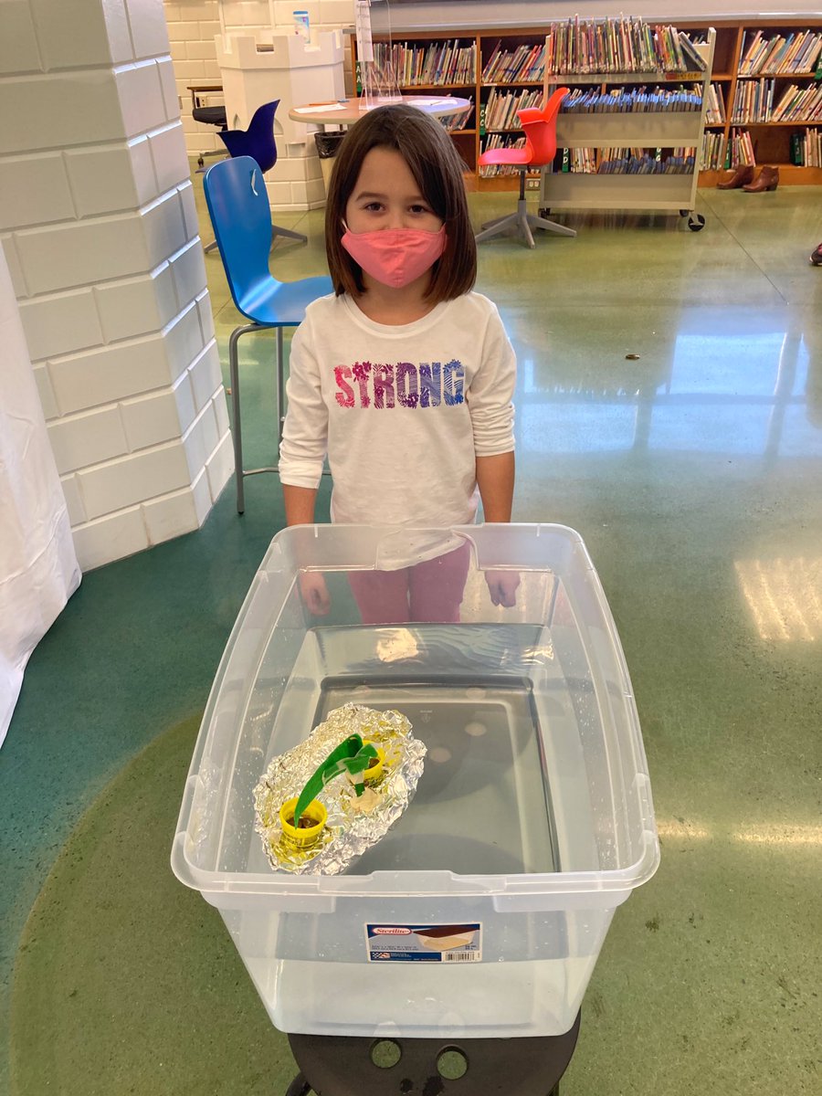 CVE CIRC tweet media