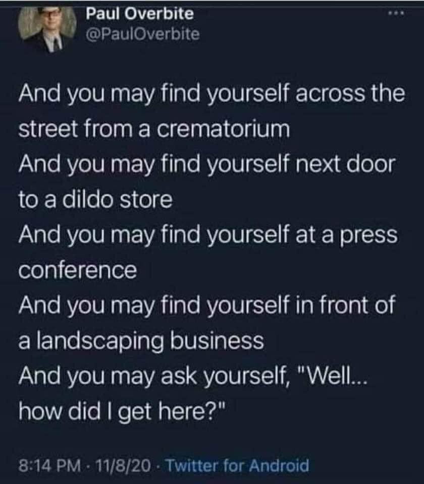 Ladehawke's tweet photo. ⁦@johncusack⁩ https://t.co/0UVvXzE1rJ