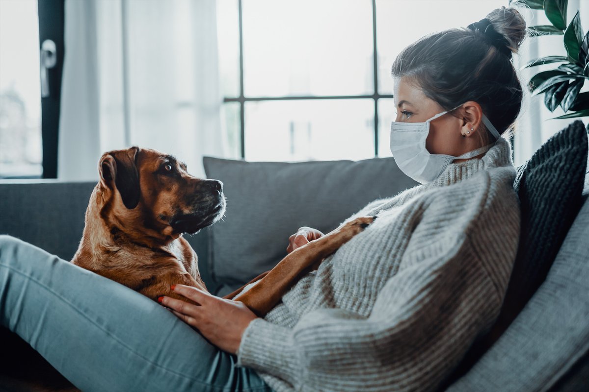 louis_riel_sd's tweet photo. Teachers and EA's have been given an exemption to the household quarantine restrictions if they are asymptomatic and wear a medical-grade mask.
In LRSD, we have a few more requirements.
Check out the full details here: https://t.co/5qjzHEsskd https://t.co/D4QaanKyBo