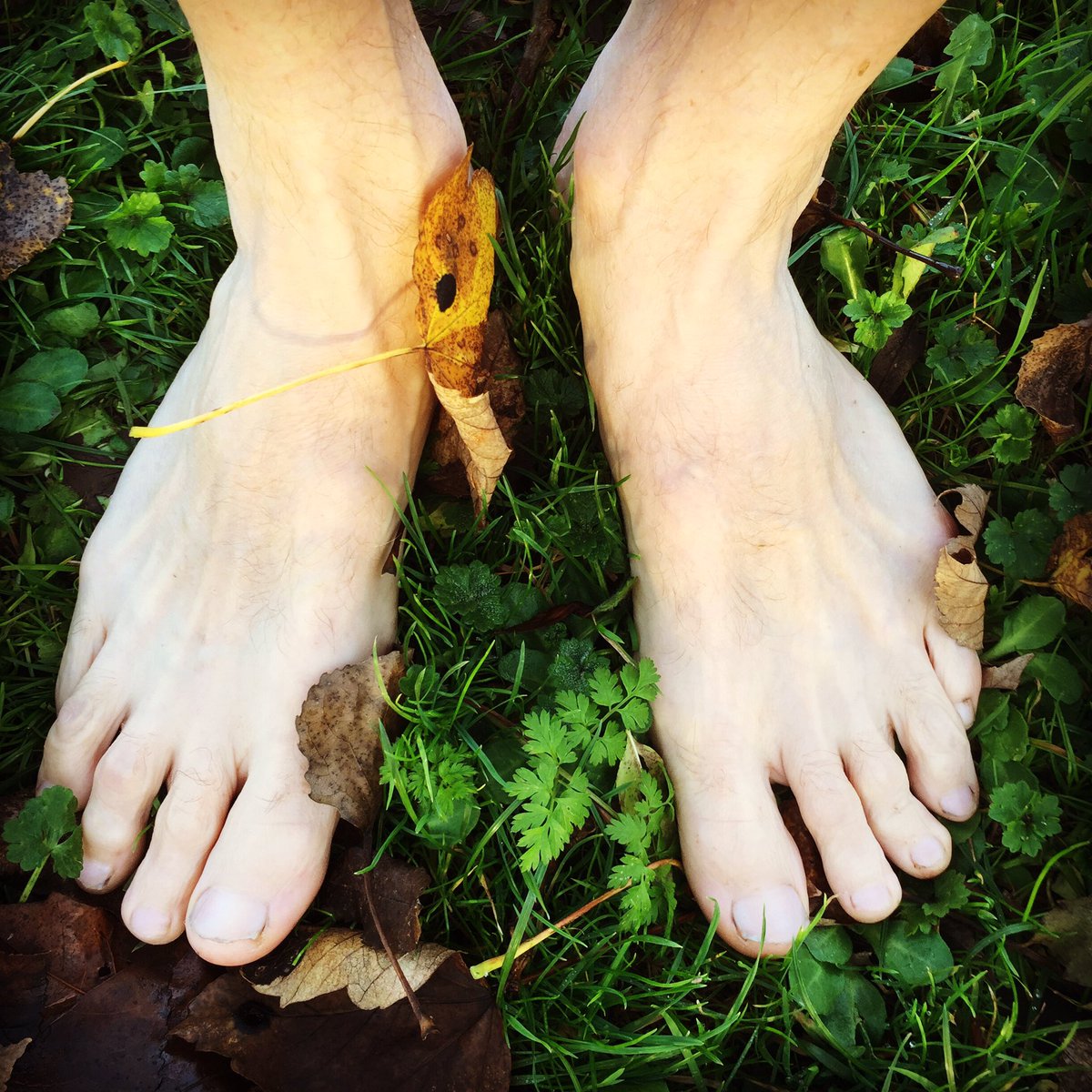 MikeFarrow's tweet image. Still enjoying the lush green grass and the squelching mud, washed my feet in the pond today ❤️ #barefoot #blessed