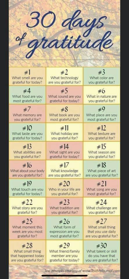 1PursuingLove's tweet photo. #12 - I really love the texture of our Cara Clark microfiber sheets. They are super soft and a little silky without being slippery or cold. #30DaysofGratitude https://t.co/7xRlw8FGeU