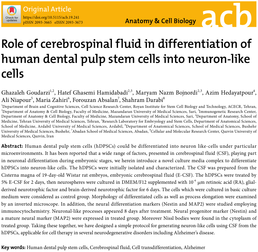 AcbjournalO's tweet photo. Role of cerebrospinal fluid in differentiation of human dental pulp stem cells into neuron-like cells

https://t.co/29AL03I9xo
Anat Cell Biol 2020; 53(3): 292-300
#대한해부학회 #AnatomyCellBiology 
#CerebrospinalFluid #CellTransdifferentiation #Alzheimer #HumanDentalPulpStemCells https://t.co/Q7oxO4Vbk1