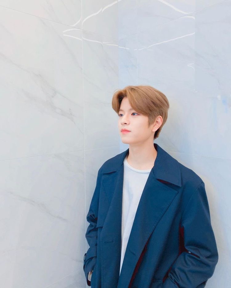 seungmin as lady rainicorn - laid back - smart - PUPPIES ??- is usually right - looks sweet but can fight - also underrated