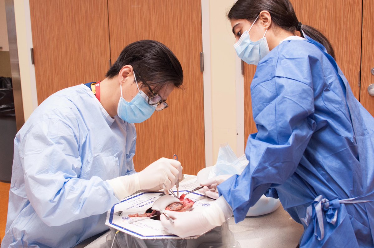 During the first wetlab of the academic year, Dr. Boodhwani taught our residents about the principles of the Bentall procedure. #cardiotwitter #surgery #simulation #education
