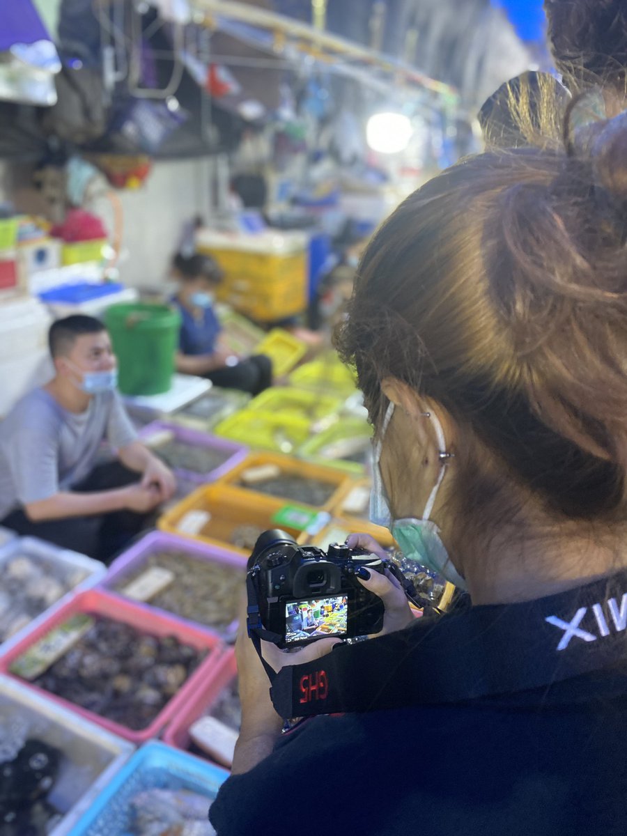 Jamie Bacigalupo tweet media