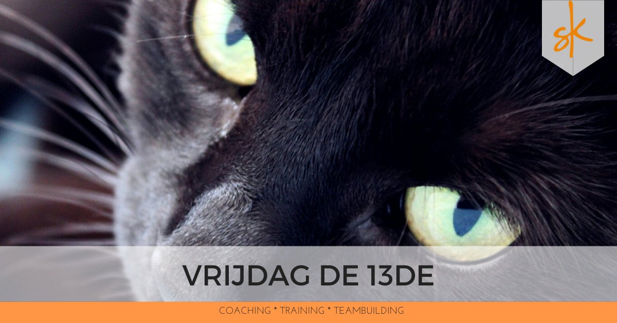 Kijk uit voor zwarte katten en loop om ladders heen vandaag, want op vrijdag de 13de zit een ongeluk in een klein hoekje!  #vrijdagde13de #zwartekat #ongeluk
