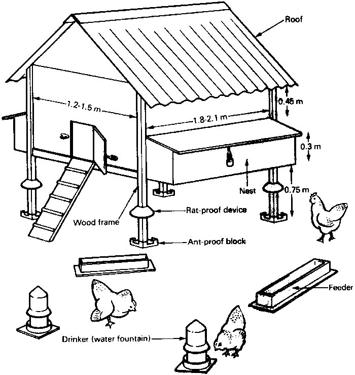 YielderKE's tweet photo. House your #chicken! We uploaded a two-page flyer on our app to give information on the types of #houses, building materials and site selection for a #poultry house. Search #chicken house in the #Ypedia.
#ict4ag #poultry #farming #knowledge #happyyielder https://t.co/JZvr9HyAo8