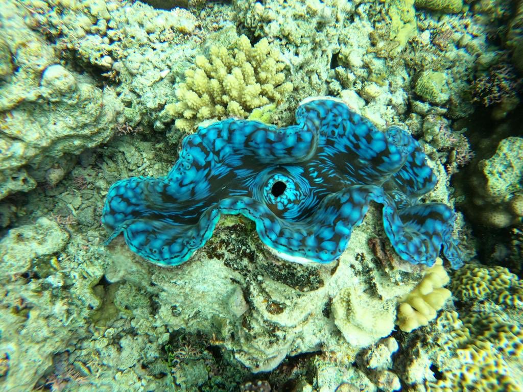 Buenos Viajes tweet media