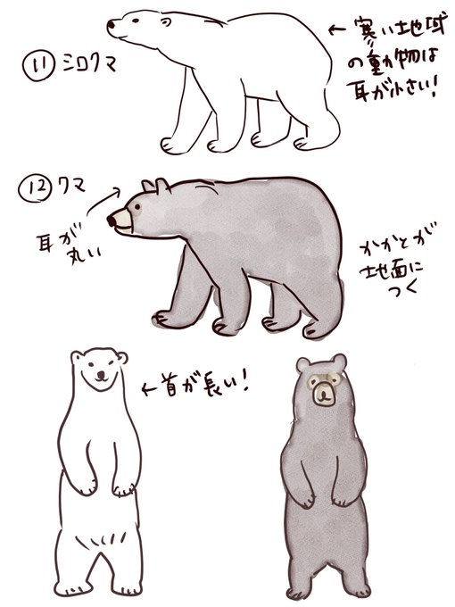 動物50種類暗記チャレンジのtwitterイラスト検索結果 動物50種類暗記チャレンジのtwitterイラスト検索結果