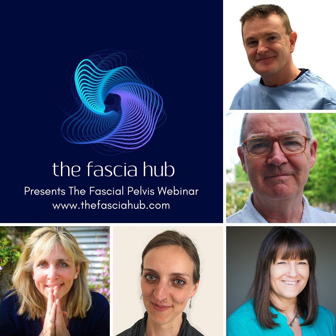 TheFasciaHub's tweet photo. Our Early Bird tickets @ £35 are only on sale until Sunday 15th November! Join us for our exciting online event, The Fascial Pelvis, Sunday November 28th. Recordings available until December 19th. https://t.co/iKY18xI0tj #fascia #mesh #pelvic #biotensegrity https://t.co/E4GEyWmERz