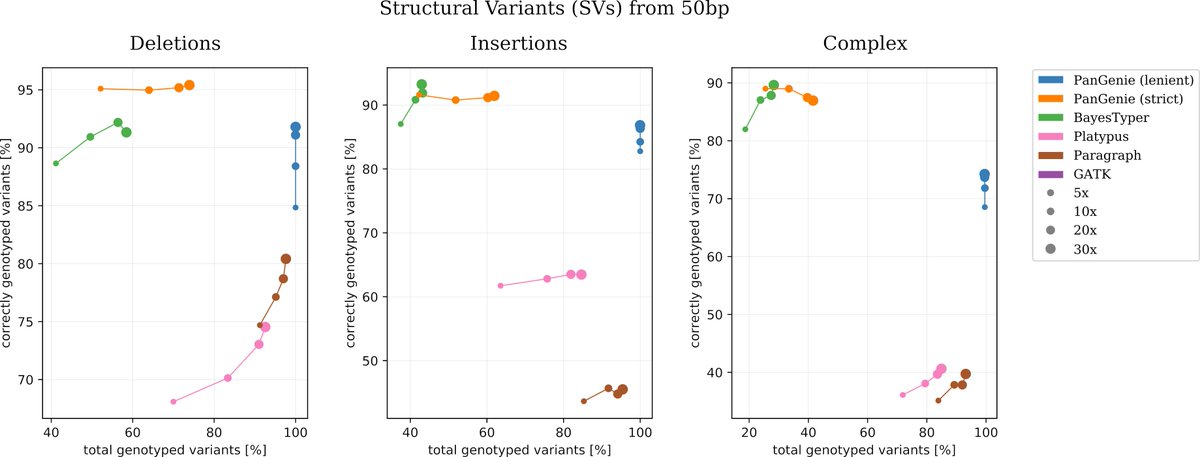 Tobias Marschall (@tobiasmarschal) on Twitter photo PanGenie, <a href="/janaebler/">Jana Ebler</a>'s awesome method to leverage haplotype-resolved assemblies (= a pangenome representation) for rapidly genotyping short read data sets. Huge gains in terms of genotypable insertion SVs. Stay tuned for updates (eQTLs, GWAS, etc). PanGenie, <a href="/janaebler/">Jana Ebler</a>'s awesome method to leverage haplotype-resolved assemblies (= a pangenome representation) for rapidly genotyping short read data sets. Huge gains in terms of genotypable insertion SVs. Stay tuned for updates (eQTLs, GWAS, etc).