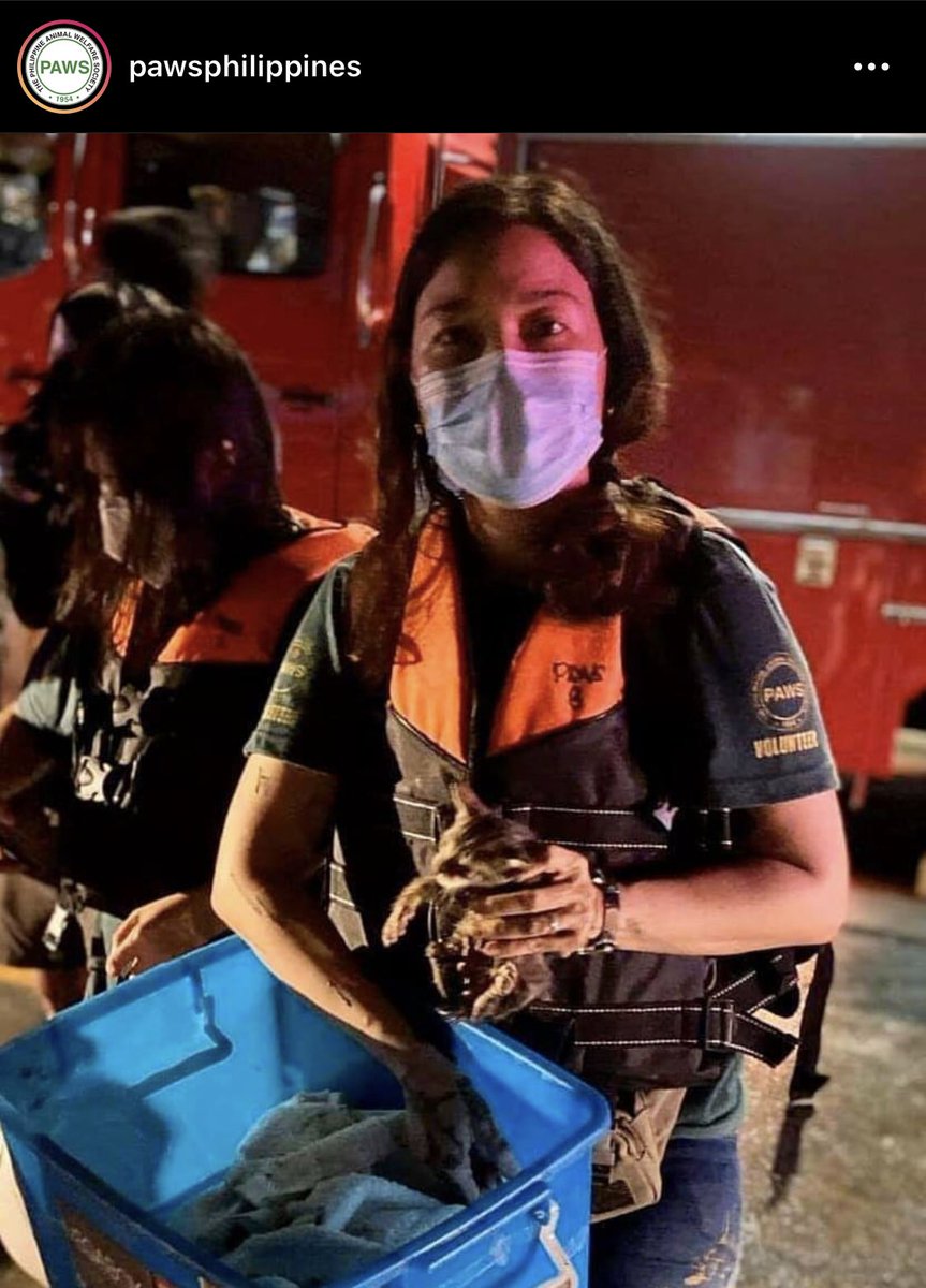Donated ₱500 to  @PAWSPhilippines, whose disaster response team has been rescuing animals and providing assistance to pet owners in Marikina. Match me.