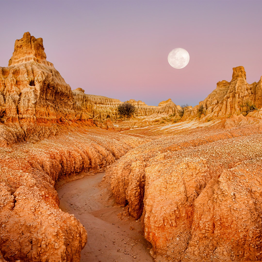 go_discover's tweet photo. Just a picture of Mungo National Park to remind us of the rich culture in Australia! Contact us on 1300 463 472 to plan your visit and learn more about Mungo's exceptional heritage and importance. https://t.co/b5iqS8O43S