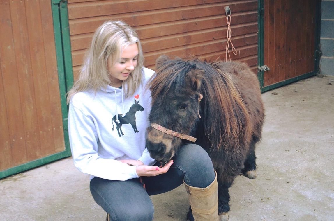 HanAlffriends's tweet photo. I’ve always been a believer in sharing the kindness and supporting charities close to my heart, and this World kindness day, I’m launching a new hoodie to help @TheBrooke 🧡

£5 from every hoodie sold will help support Brooke’s work 🧡

https://t.co/D0ObbzTXQH ❤️ https://t.co/WAGKtvgl81