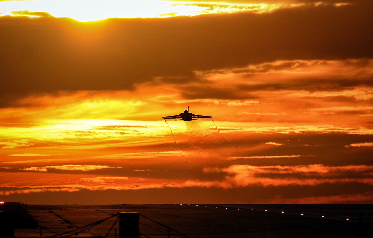 Mark_Ranger tweet media