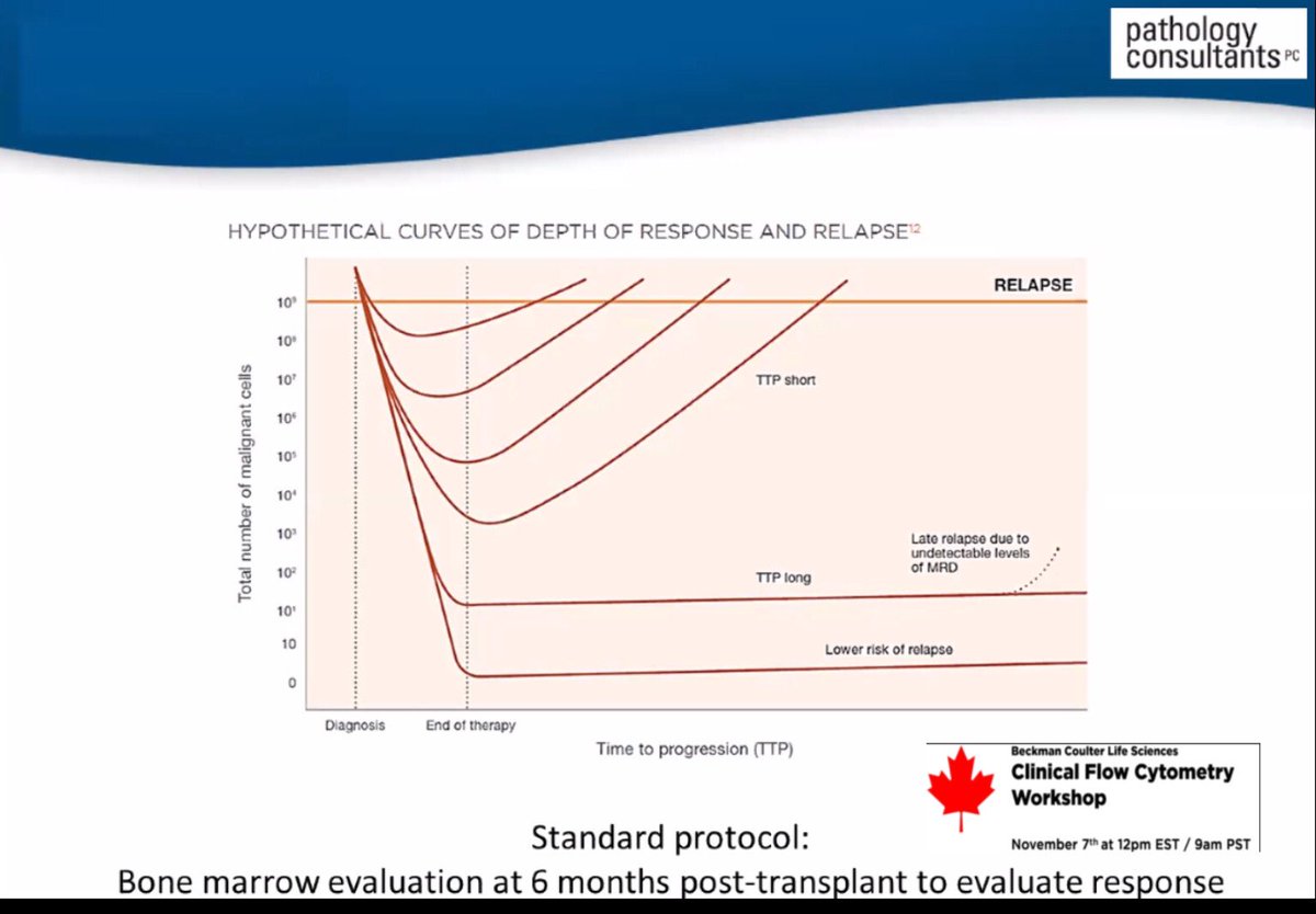 Technical Session 2 - Plasma Cell Testing for Myeloma MRD Analysis (Mike Sutter, MT, SH, ICEE, Technical Specialist, Hematology/Flow Cytometry, Pathology Consultants)  As chart  shows, hight level of MRD tumor cells relapse quicky 6/