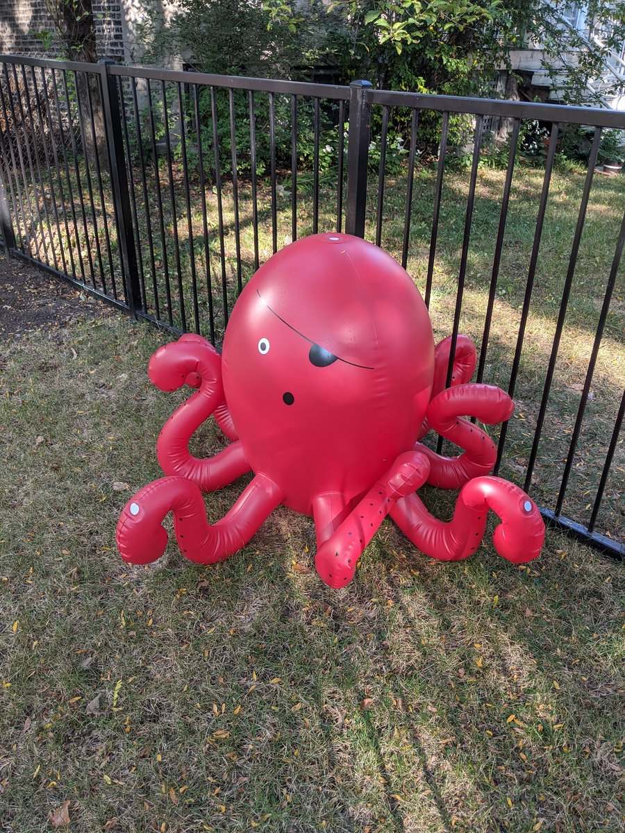 OhDoogs's tweet image. 