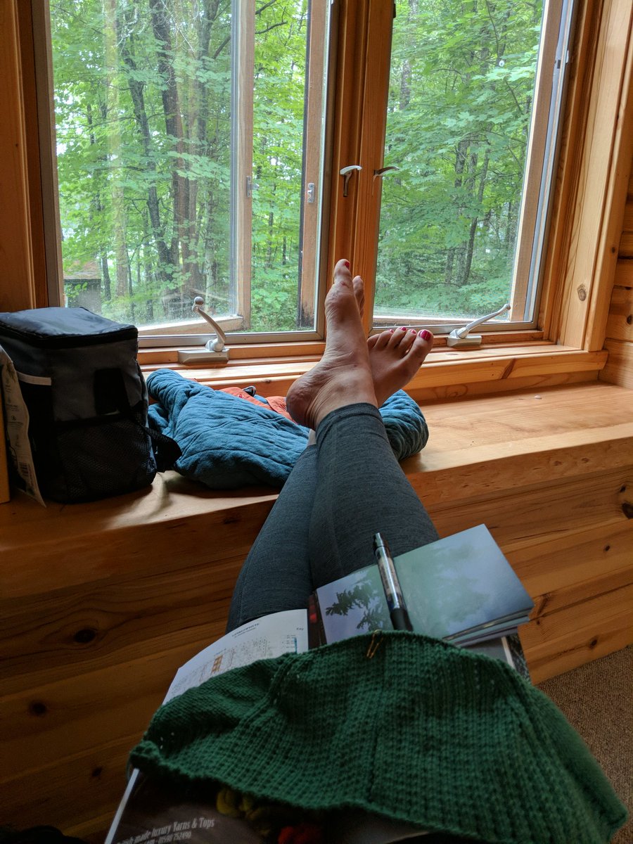 OhDoogs's tweet image. 