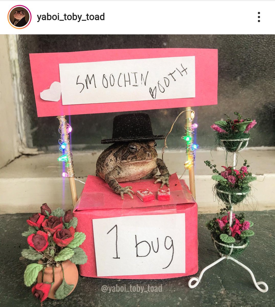 OhDoogs's tweet image. 