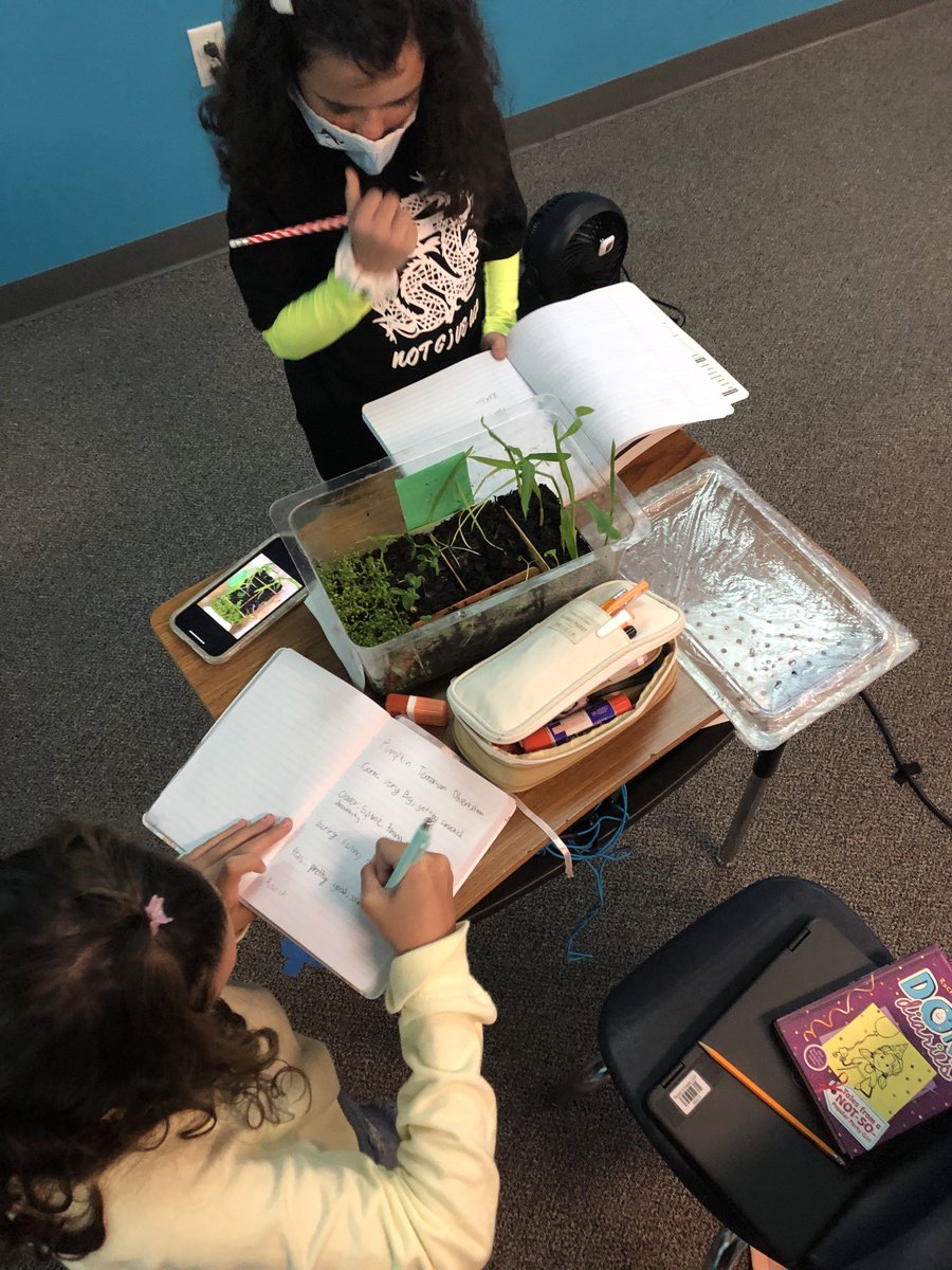 Marianne Norman tweet media