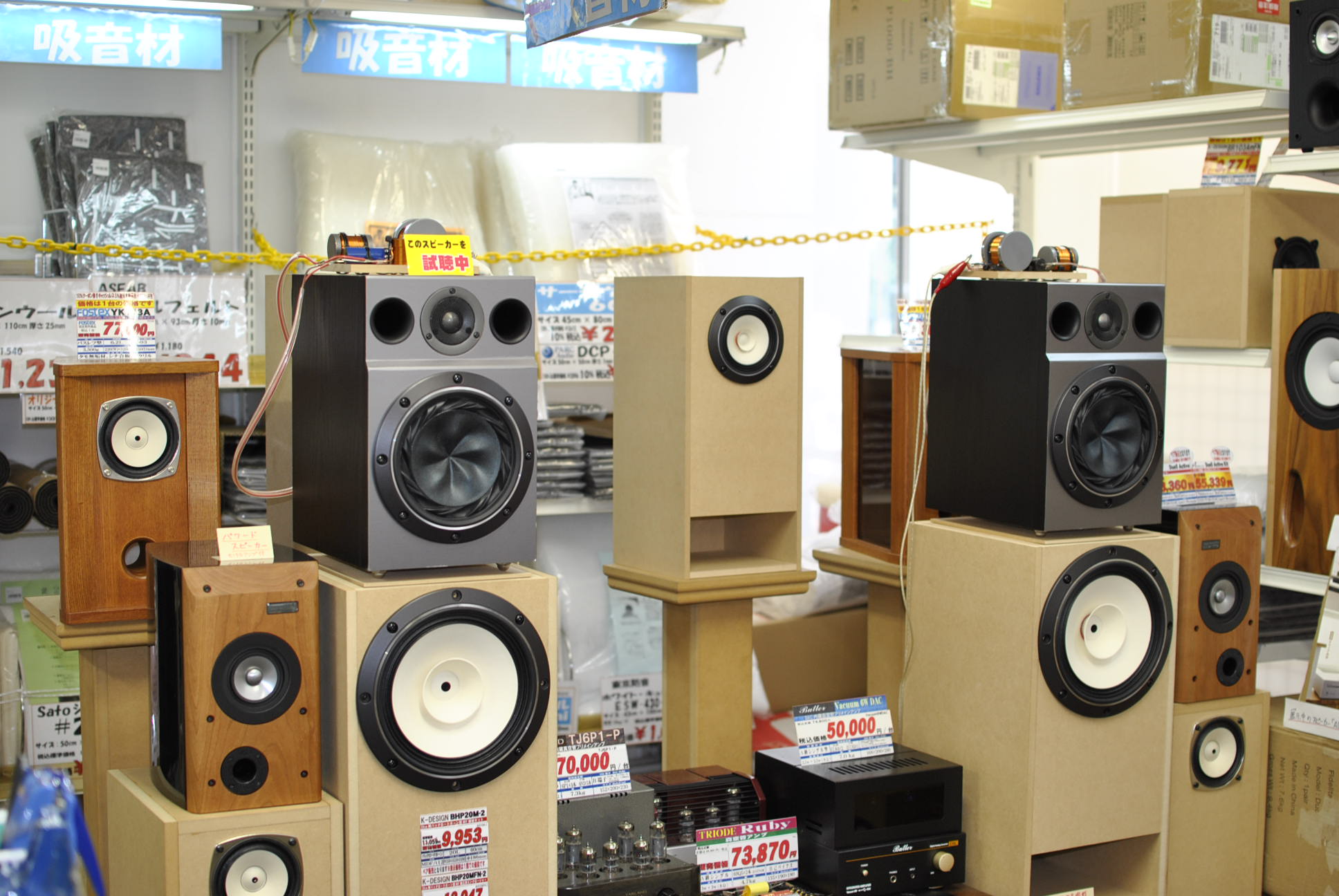 フォステクス FT200D