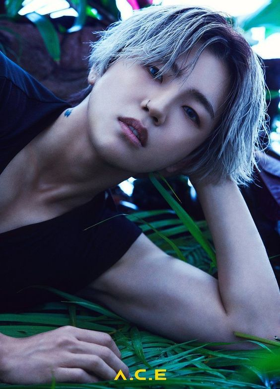 The last group I got to see live before the pandemic hit was A.C.E. So glad I went. They're phenomenal live. Another group where it's hard to choose a bias, but mine is Donghun. Any performances you've seen online do not do him justice. He is next level in person.