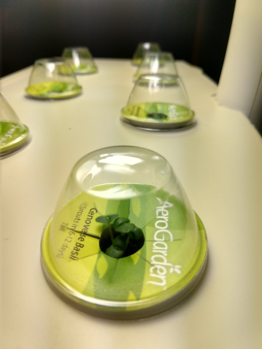 As it turns out: 100%!  @fromagefacile took it apart, made a temporary hydro pool for the pods, found a new pump, put it all back together today... and it's quietly shining in the corner, and WE HAVE TINY TINY BASIL, and it is green and hopeful and it makes my heart sing.