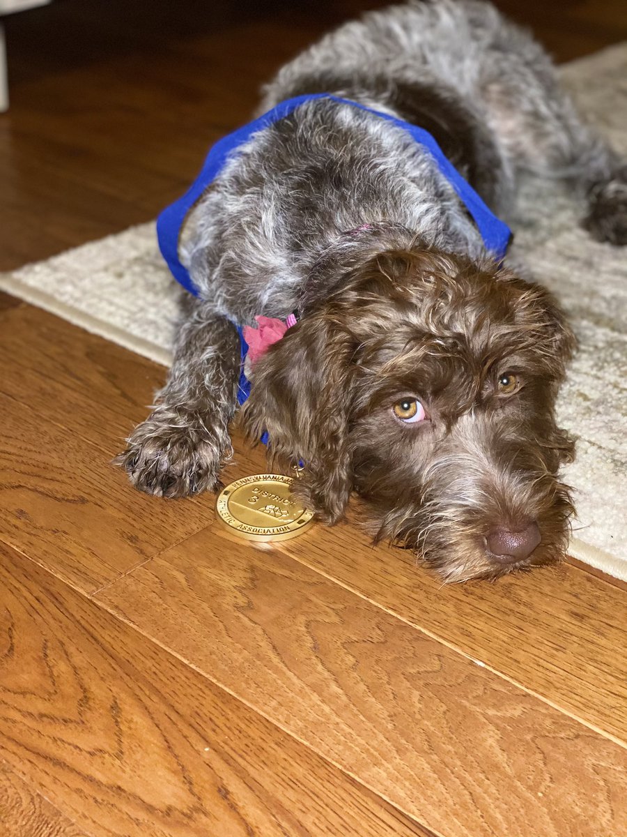 CDFHvarsity's tweet photo. Sadie wasn’t sure what all the fuss was about. Mom filled her in #GORAMS #CDFH #DISTRICTCHAMPS https://t.co/RlxZQbO5Hk