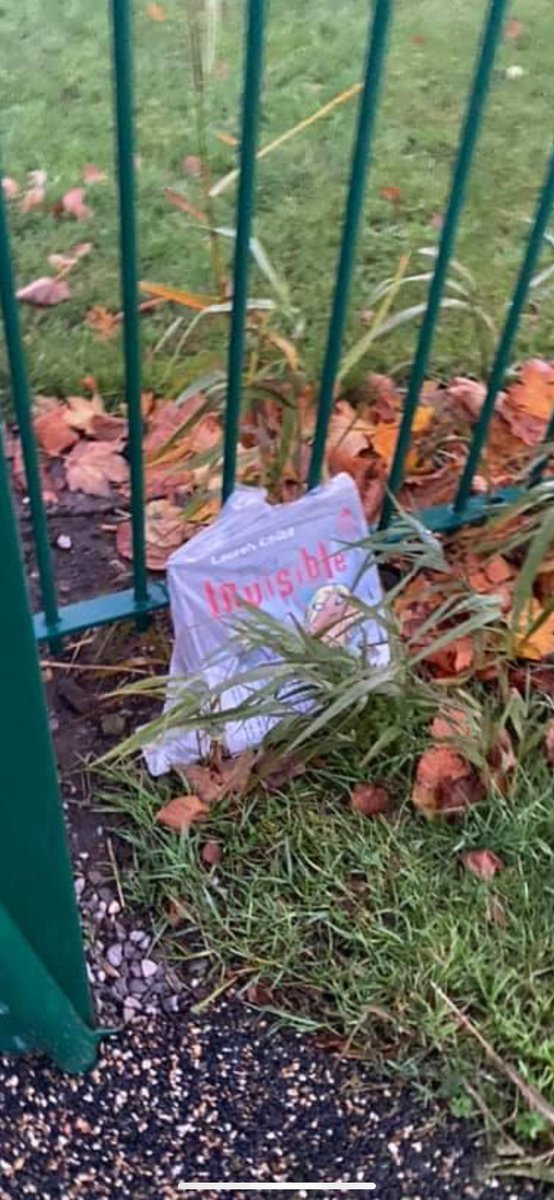 Friends Of Saxon Green Park KIRKBY tweet media