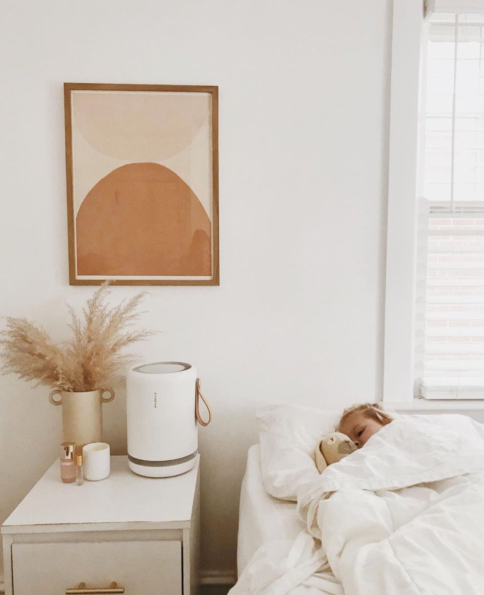 molekuleair's tweet photo. That vegan leather handle on Air Mini+ was made for the neutral earth tones of this room’s color palette.
📸: https://t.co/ZhREaAJ1Qu
#AirMiniPlus #AirPurifier #CleanAir #interiorstyling https://t.co/CRBGLpTB5g