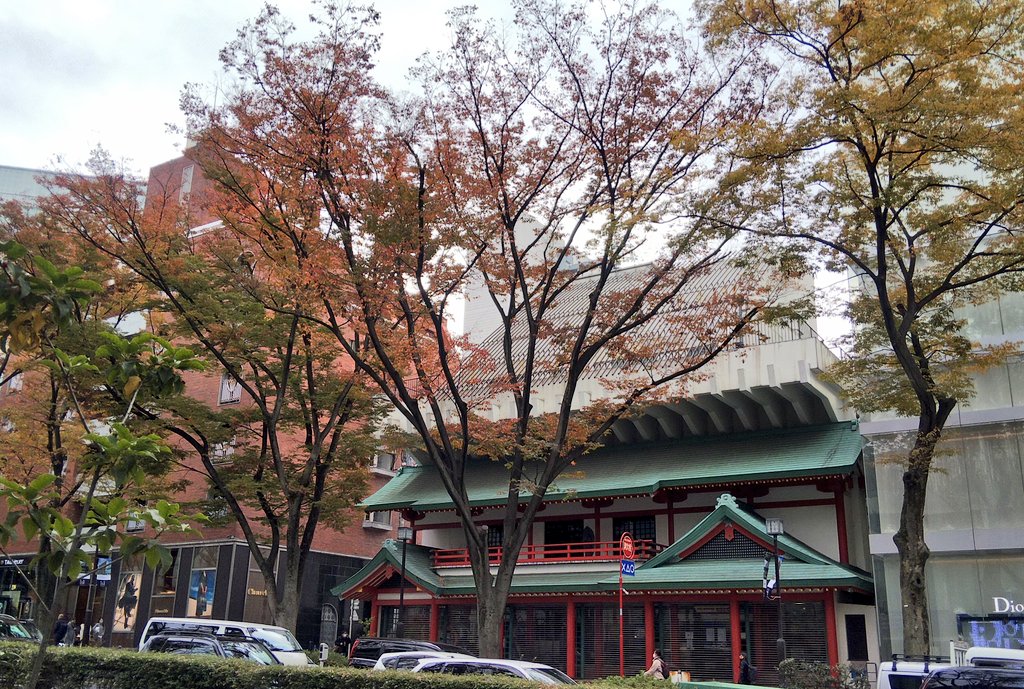 Freddie_0906's tweet photo. フレディお気に入りのオリエンタルバザー✨
土日祝のみ営業しているそうで閉まってた💦
外国人向けのお店だったしね…
表参道の紅葉は色づき始め🍁
#OrientalBazaar https://t.co/OwYLJvkqof