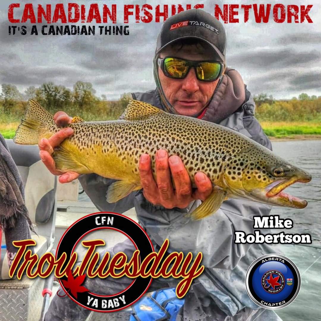 Been a few minutes since I sent out any tweets. This one hammered my Live Target lure !! #livetargetlures #browntown #bowriver