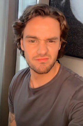 LIAM PAYNE AS DUCKLINGS; a very cute thread