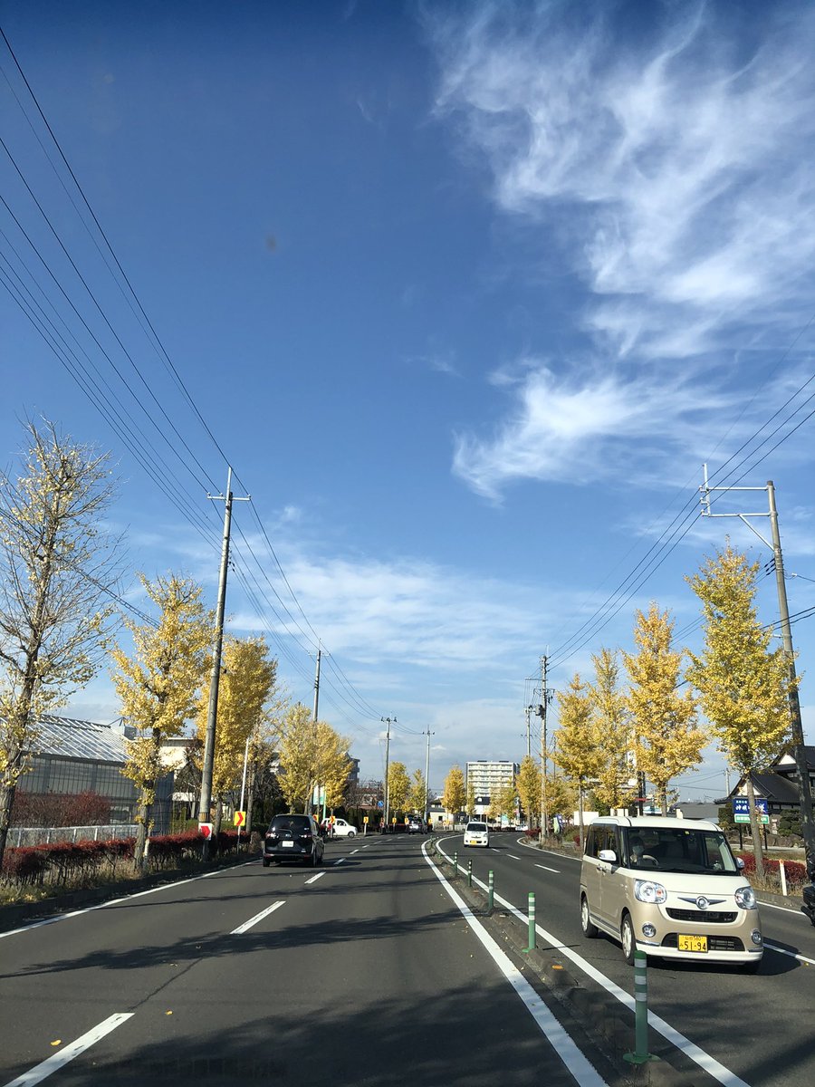 SumibiHajimeya's tweet photo. 秋ですね🍁
秋晴れ☀️気持ちいいも���ですね。
こんな日はハジメヤでキンキンに冷えたビール🍺に美味しいお肉🍖でしょ🥳

 #名取焼肉 #仙台牛タン #豚ホルモン無料食べ放題 #仙台焼肉 #蔵王牛 #蔵王牛ランプ #肉テロ #仙台食べ放題 #はじめやの日 #GOTOイート #GOTOイートはじめやの日最強説 https://t.co/DskR33IgGU