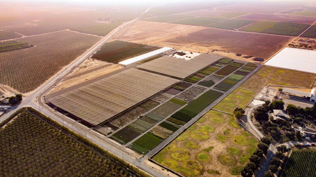 Quiedan's tweet photo. #everythinggrowsbetterwithstructure in the Big Valley! #quiedan https://t.co/djz5xq6s0z