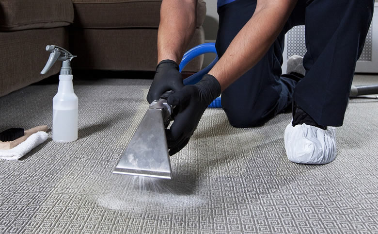 Learn about the difference between old and new #carpetcleaning  and to take a budget-friendly and best decision, just click here - bit.ly/36qX5bW