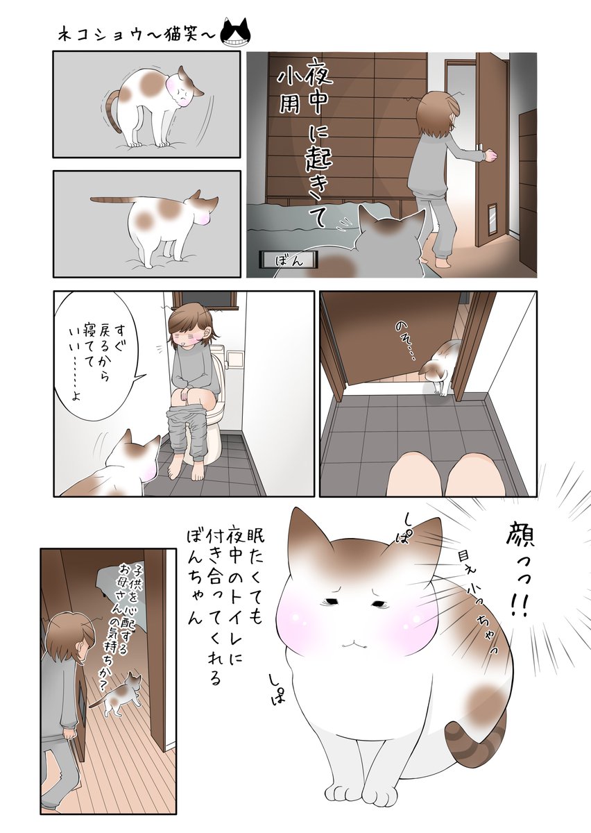しろめ ネコショウ 猫笑 猫漫画 Chikibooooo Twitter